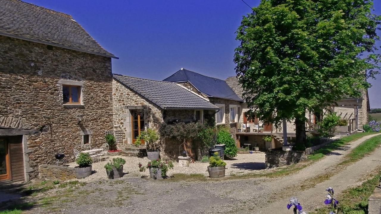 Domaine De Lasfonds Rieupeyroux  Buitenkant foto